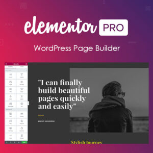 Get the best Elementor PRO WordPress Page Builder + Pro Templates