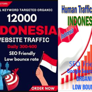 You will get website traffic Indonesia visitors to your website from trusted sources